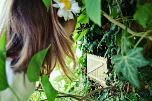 Alice and fairy door