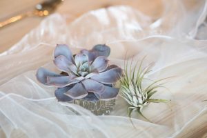 Succulents and airplants | Journey to the Centre of the Earth | modern ethereal winter styled bridal shoot by Hanami Dream | agate | marble | airplants | tulle | pale blue | gold | Oxleaze Barn | Gloucestershire | October 2017 | Photography by Squib Photography www.squibphotography.co.uk