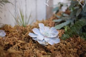 Succulents amongst moss | Journey to the Centre of the Earth | modern ethereal winter styled bridal shoot by Hanami Dream | agate | marble | airplants | tulle | pale blue | gold | Oxleaze Barn | Gloucestershire | October 2017 | Photography by Squib Photography www.squibphotography.co.uk