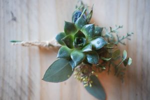 Succulent buttonhole | Journey to the Centre of the Earth | modern ethereal winter styled bridal shoot by Hanami Dream | agate | marble | airplants | tulle | pale blue | gold | Oxleaze Barn | Gloucestershire | October 2017 | Photography by Squib Photography www.squibphotography.co.uk